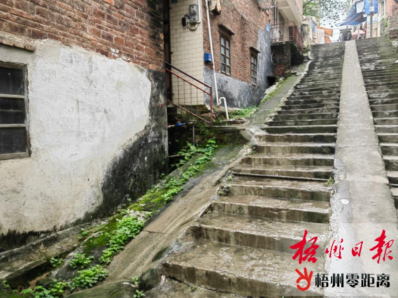 排污管道破损地面污水横流(图1)