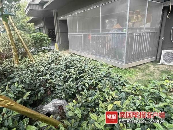 全部导航(图2)
