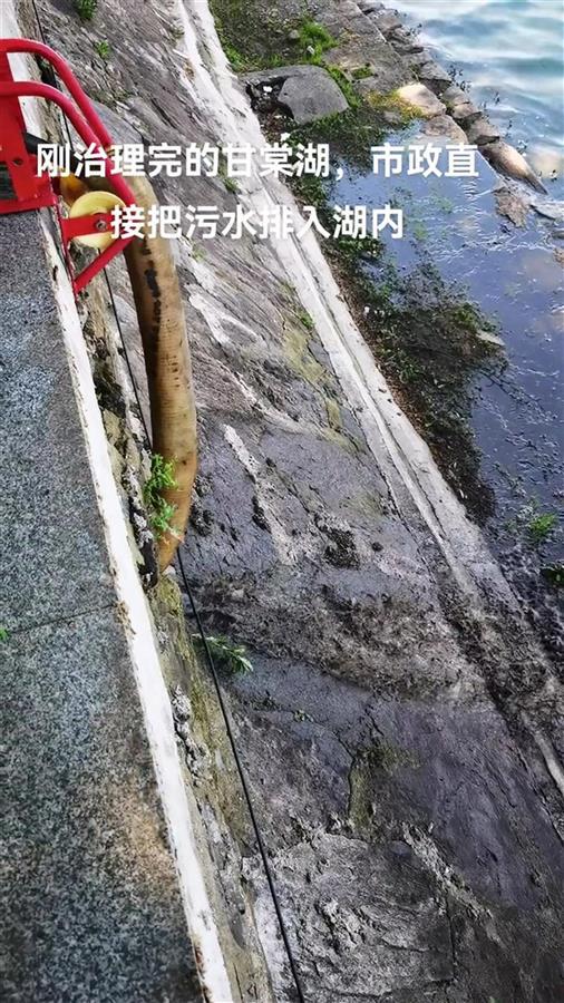 市民反映市政车辆向甘棠湖排污：系冲洗管网内淤泥已叫停(图1)