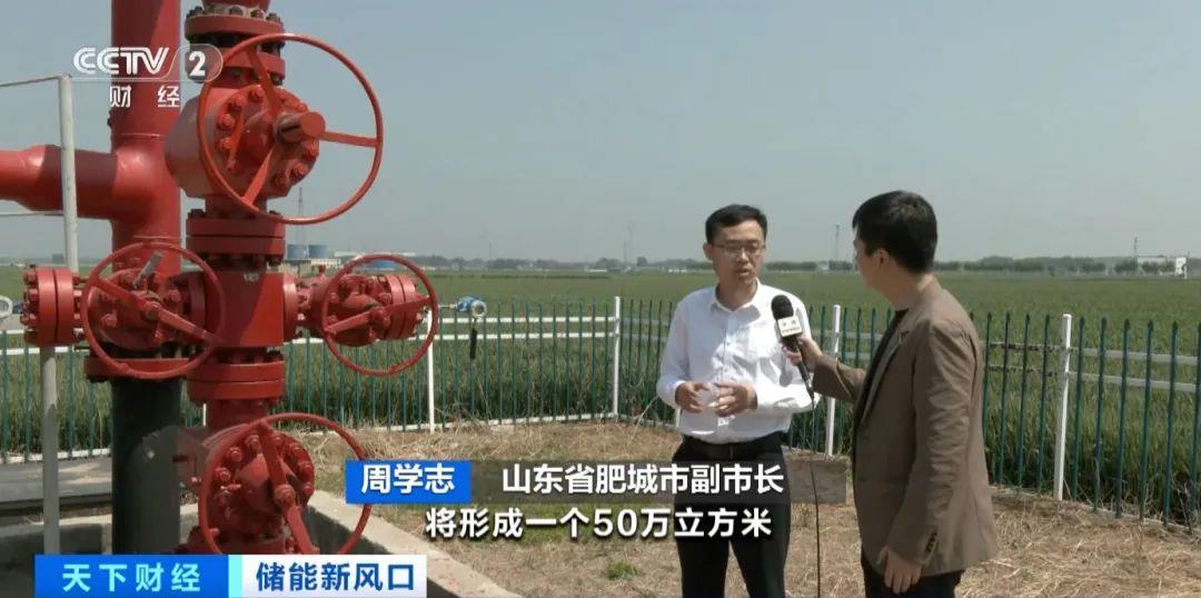 “超级充电宝”来了！全球最大昨天并网发电(图9)