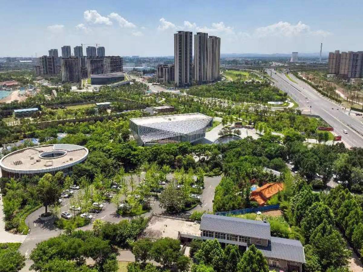 “夏·韵郑州”郑州二七城管疏通排涝“神经末梢”(图1)
