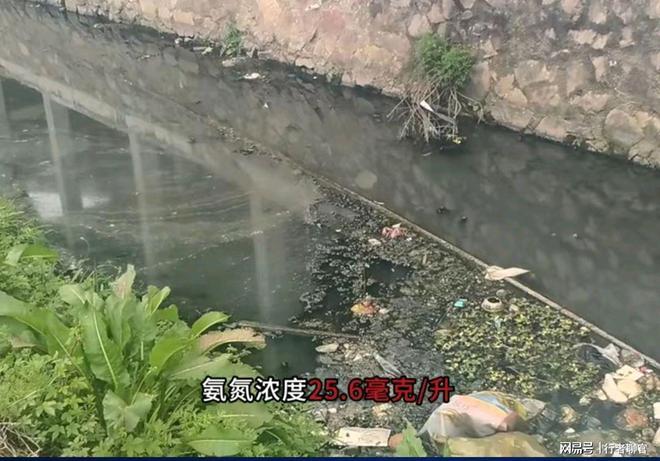 中央督察组暗查江西：上报“无黑臭水体”真实情况让人触目惊心(图1)