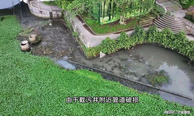 中央督察组暗查江西：上报“无黑臭水体”真实情况让人触目惊心(图10)