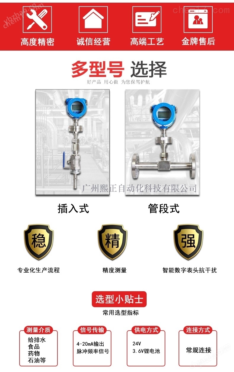 气体质量流量计插入式管道式燃气蒸汽氮气(图1)