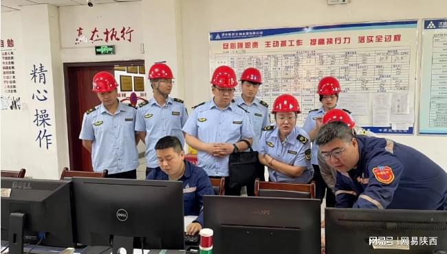 勉县分局开展工业炉窑企业监督帮扶现场练兵活动(图3)