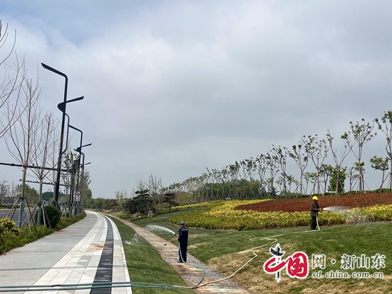 青岛胶州市上合大道新建道路即将竣工(图1)
