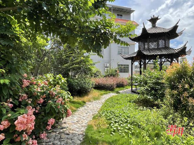 湘桥区磷溪镇塔后村：做活特色产业文章带动村民增收致富(图3)