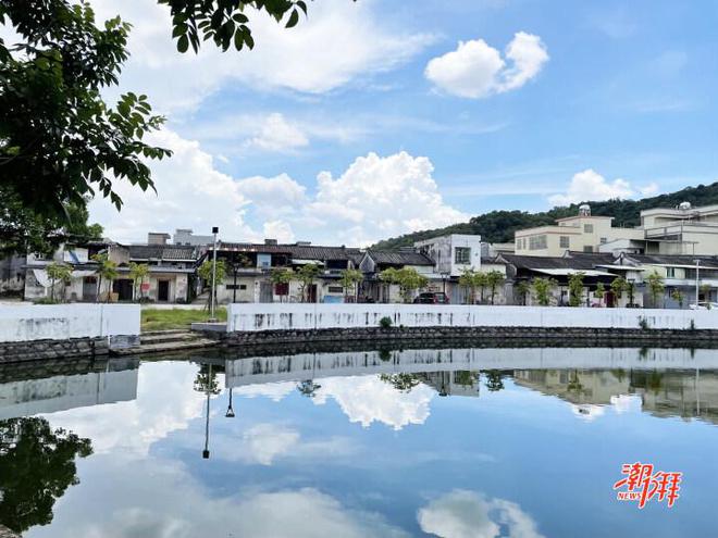 湘桥区磷溪镇塔后村：做活特色产业文章带动村民增收致富(图1)