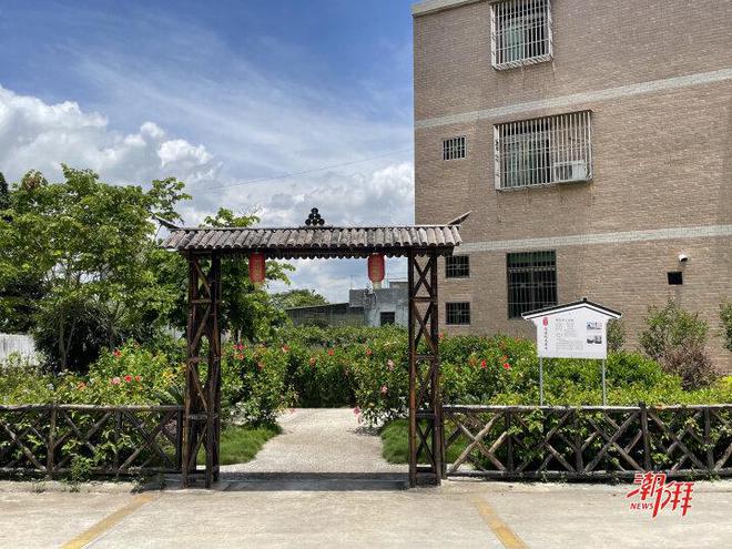湘桥区磷溪镇塔后村：做活特色产业文章带动村民增收致富(图6)
