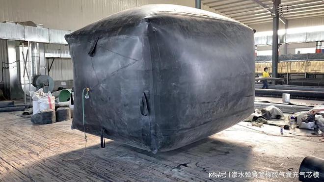 DN300管道堵水气囊A惠州管道堵水气囊厂家A外皮厚度(图2)