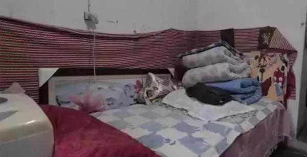 鬼斧神工！40㎡过道秒变4室2厅豪华“别墅”！住一家6口还不挤？(图5)