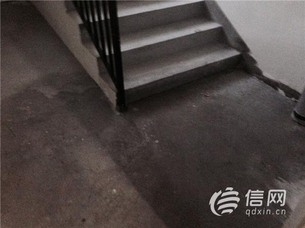 管道冻坏新房被泡千千树置业把责任推给天灾(图2)