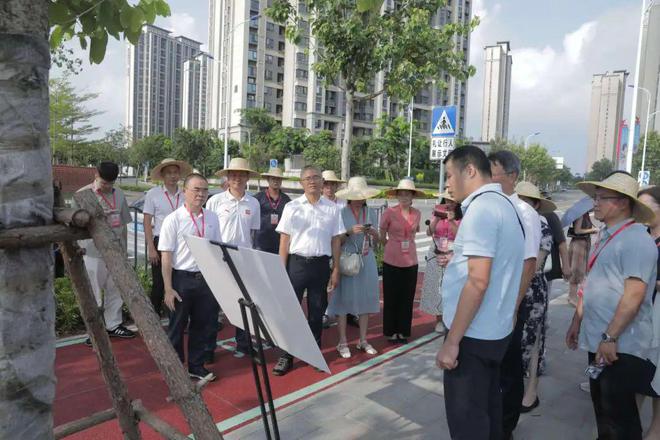 聚焦“断头路”建设协商翔好！(图4)