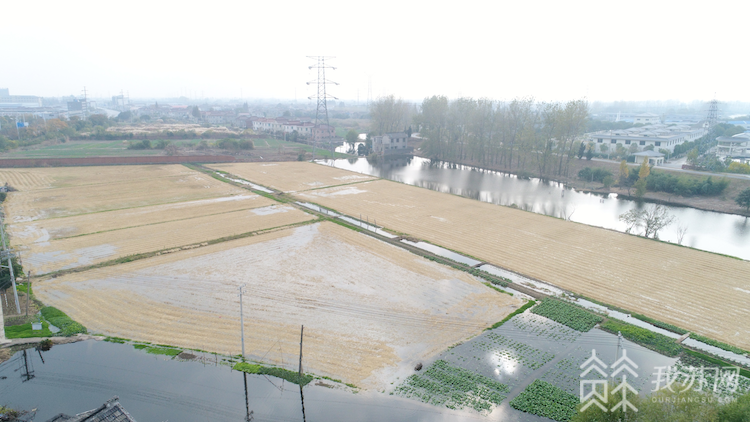 世外桃源被黑臭河围村？扬中经济开发区污水漫堤近百亩农田受损！(图1)