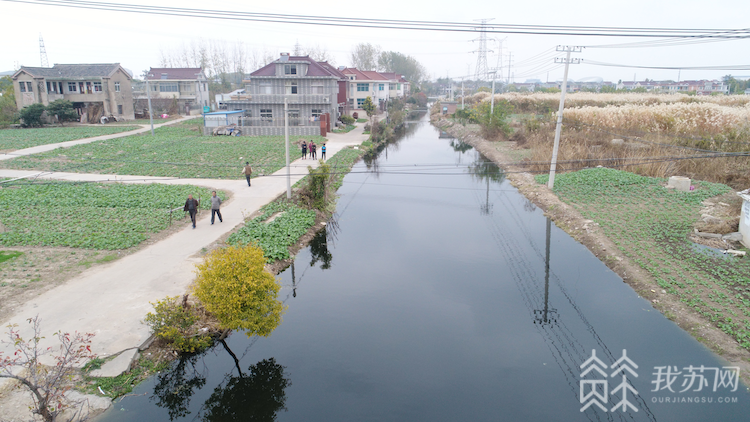 世外桃源被黑臭河围村？扬中经济开发区污水漫堤近百亩农田受损！(图4)