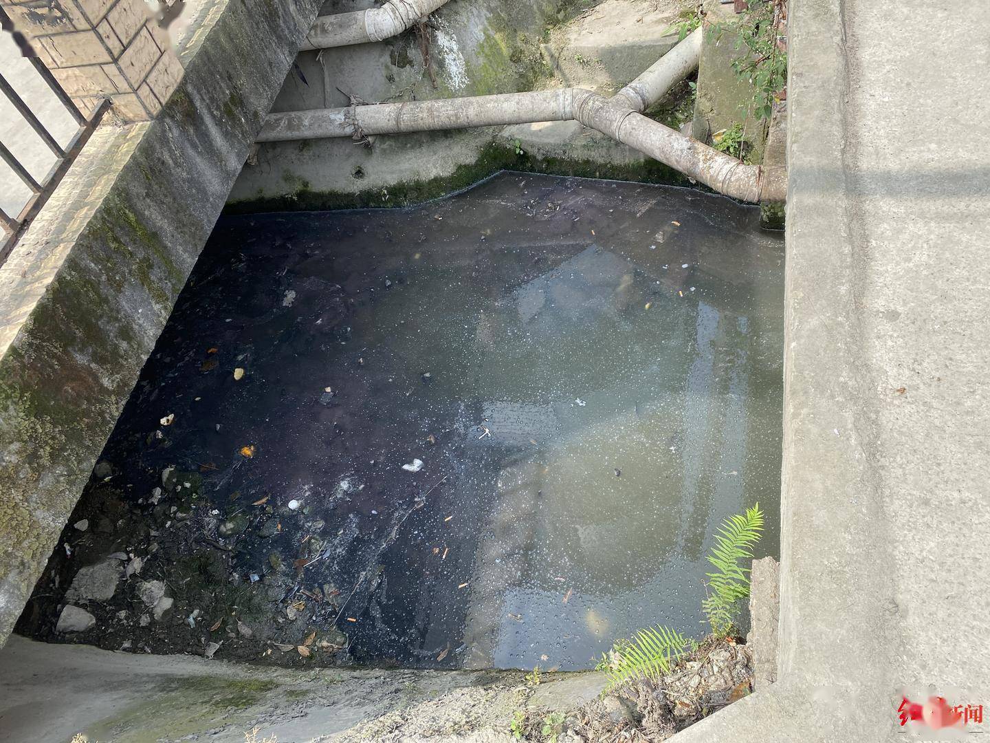 污水乱排、环境脏乱差？街道办：将完成管网疏通安排专人加强巡查劝导(图4)