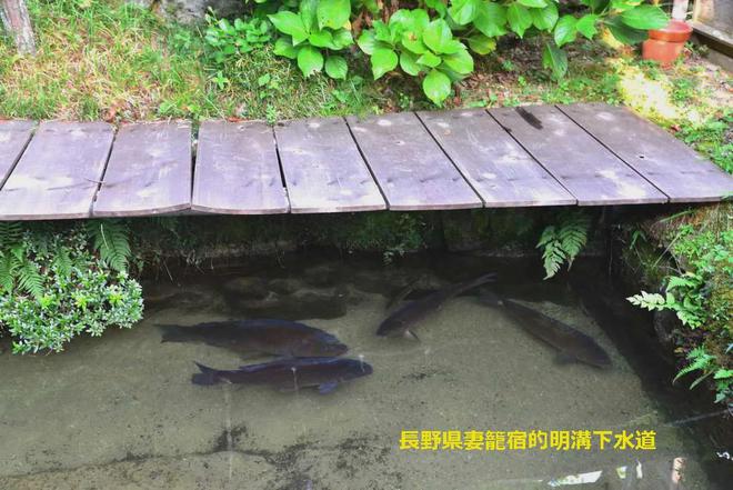 为什么日本的下水道是不臭的？(图2)