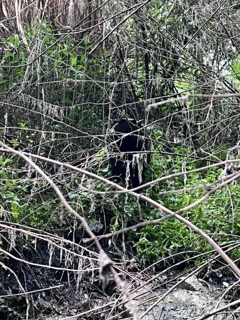 触目惊心！黑臭污水暗管偷排灰白泥浆明渠入河来听新闻(图2)