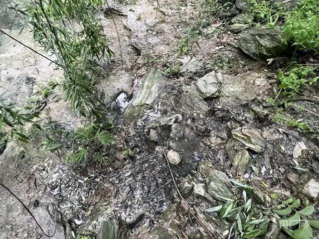 触目惊心！黑臭污水暗管偷排灰白泥浆明渠入河来听新闻(图3)