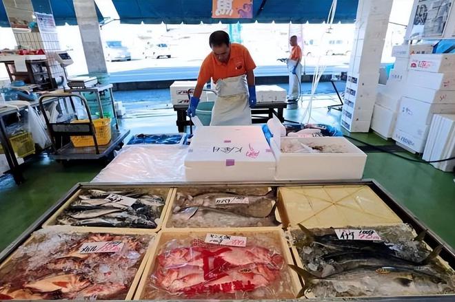 日本“排污入海”试运行两周或持续30年今后海鲜还能吃吗？(图5)