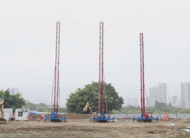 直通凤凰大道！南沙这个片区新增4条市政路！！(图4)