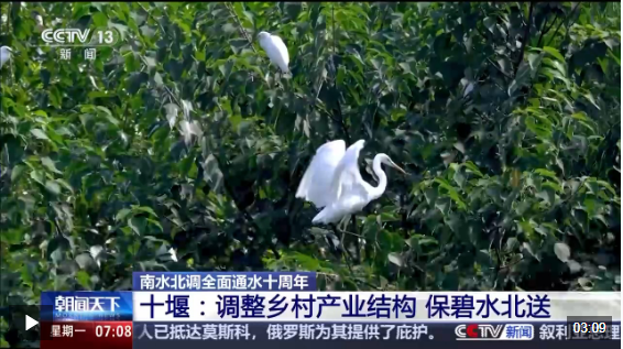 “龙须沟”变身“一库碧水”来看十堰泗河的生态蝶变(图9)