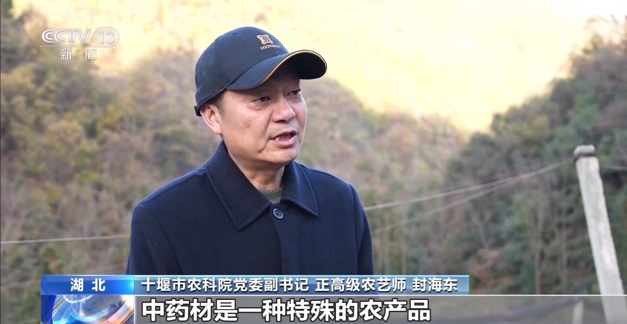 “龙须沟”变身“一库碧水”来看十堰泗河的生态蝶变(图13)