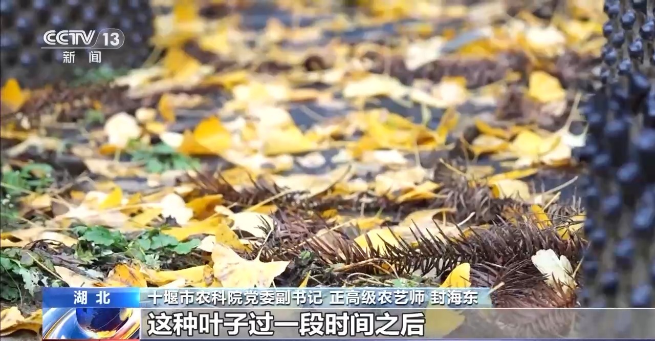 “龙须沟”变身“一库碧水”来看十堰泗河的生态蝶变(图14)