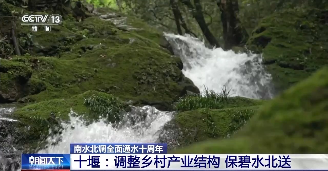“龙须沟”变身“一库碧水”来看十堰泗河的生态蝶变(图17)