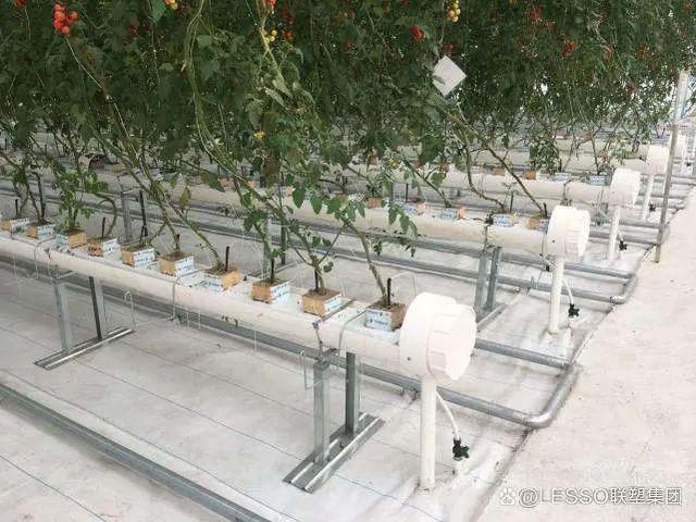 中国联塑深耕农业管道领域助力乡村振兴(图1)