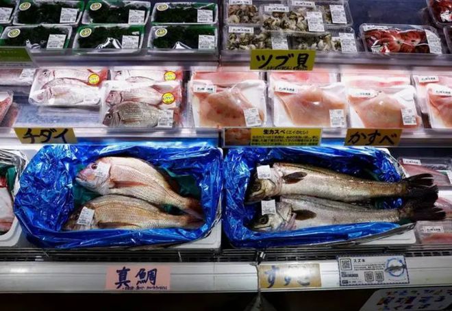 日本撑不住了！临下台前岸田终于“认输”了中日宣布重要决定(图1)