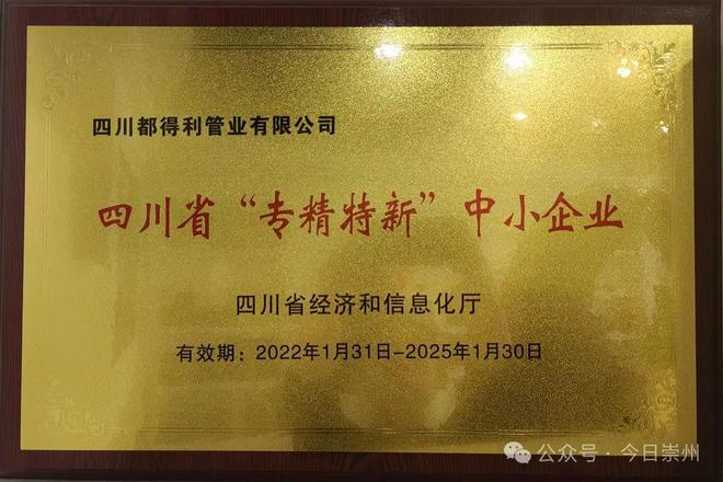 给“崇州造”加点料更管用！(图9)