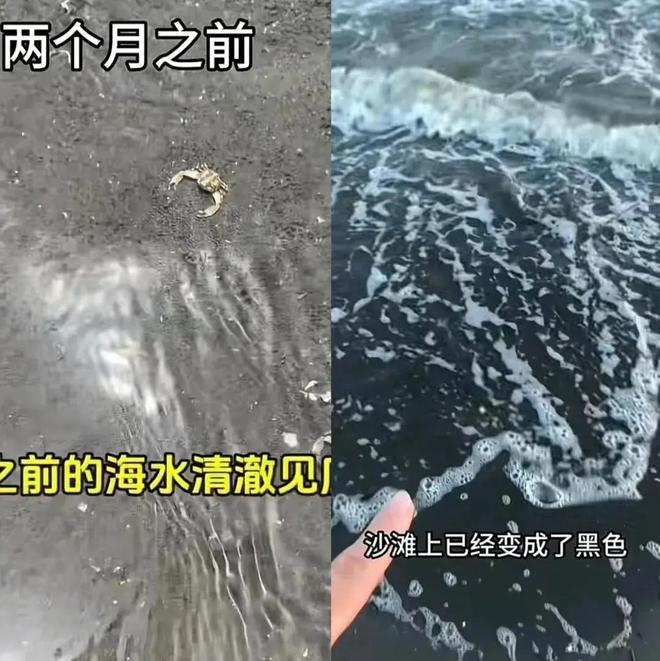 日本核废水排海2024年4月份将蔓延至中国海域如何应对？(图5)