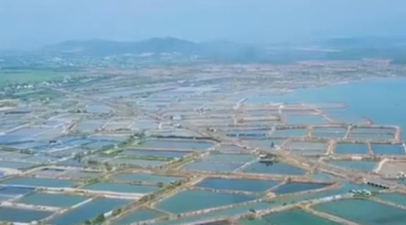 日本排污后远离海鲜？错！新疆海鲜养殖成功干净无污染放心吃(图9)