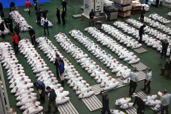 中国要求独立取样监测日本核污水这一点为什么很重要？-骆志平(图2)