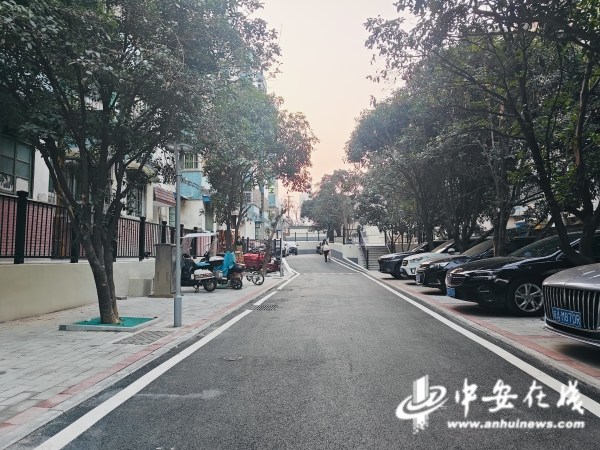 中安观察｜新年特辑·小区焕新记(图1)