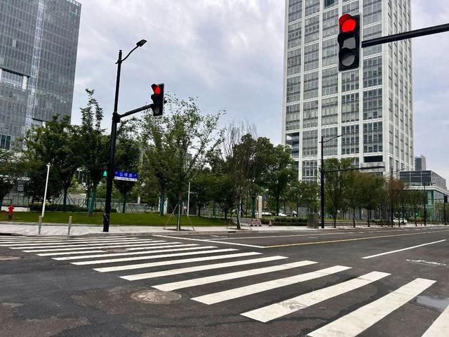 织密区域路网！徐汇滨江新增两条城市支路(图1)