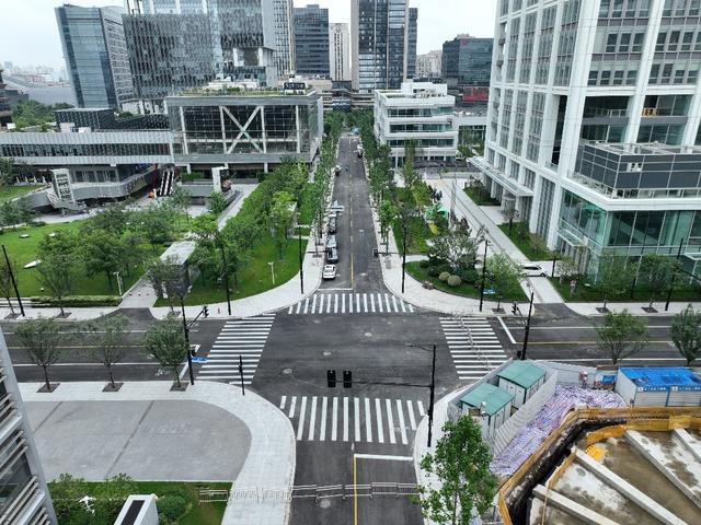 织密区域路网！徐汇滨江新增两条城市支路(图3)