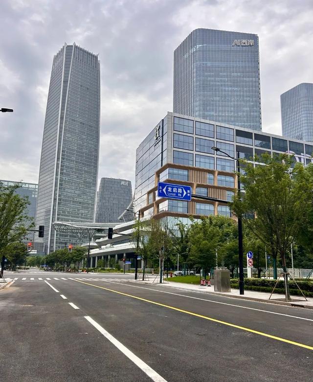 织密区域路网！徐汇滨江新增两条城市支路(图4)