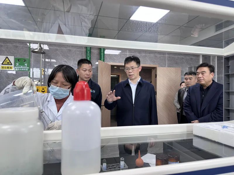 泉港区政府主要领导调研污水收集处理提质增效工作推进情况(图1)