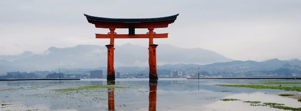 日本核废水也反转了(图3)