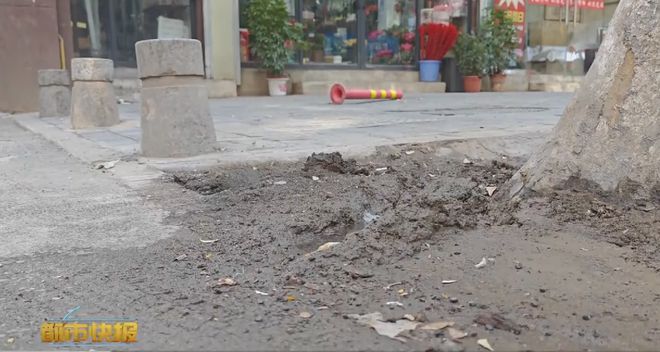 西安一街道满街臭！只因家门口污水管道堵塞(图4)