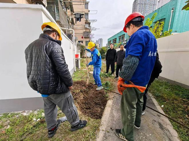 “三驾马车”齐驱化“烦心”为“舒心”(图2)