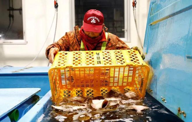核污染水排海约8万吨！我国检测未发现异常海鲜能吃了吗(图7)