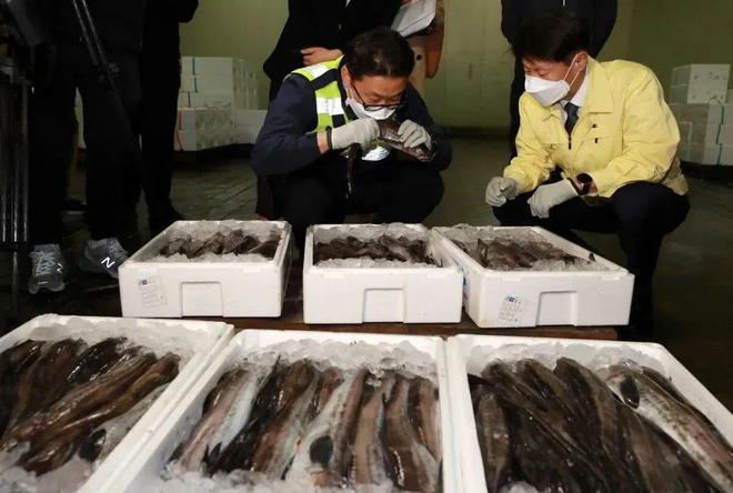 核污染水排海约8万吨！我国检测未发现异常海鲜能吃了吗(图10)