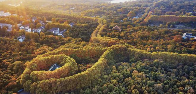 山和月！紫金山金基低密园墅公布案名；鼓楼低密公寓润玺将开！(图2)