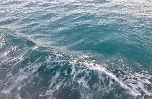 全面解析日本核污水排放高考地理中的热点问题日本核污水排海事件(图18)