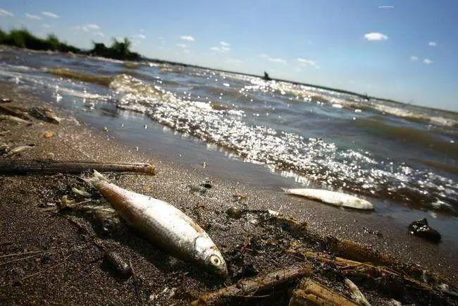 全面解析日本核污水排放高考地理中的热点问题日本核污水排海事件(图25)