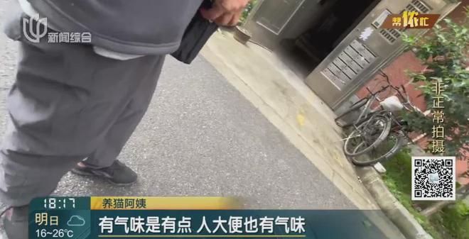 香水喷喷就没了？上海阿姨把自家房子给猫住！楼道里一股味道邻居崩溃(图4)