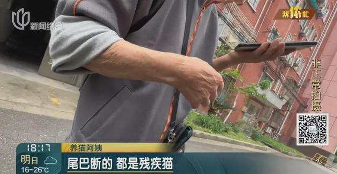 香水喷喷就没了？上海阿姨把自家房子给猫住！楼道里一股味道邻居崩溃(图3)